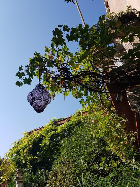 Garden Ca' Rezzonico Venedig
